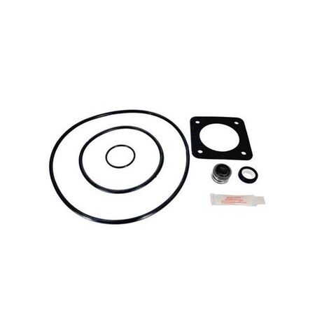 Aladdin Equipment Aladdin Equipment GOKIT54 Sta Rite Repair Seal Kit GOKIT54